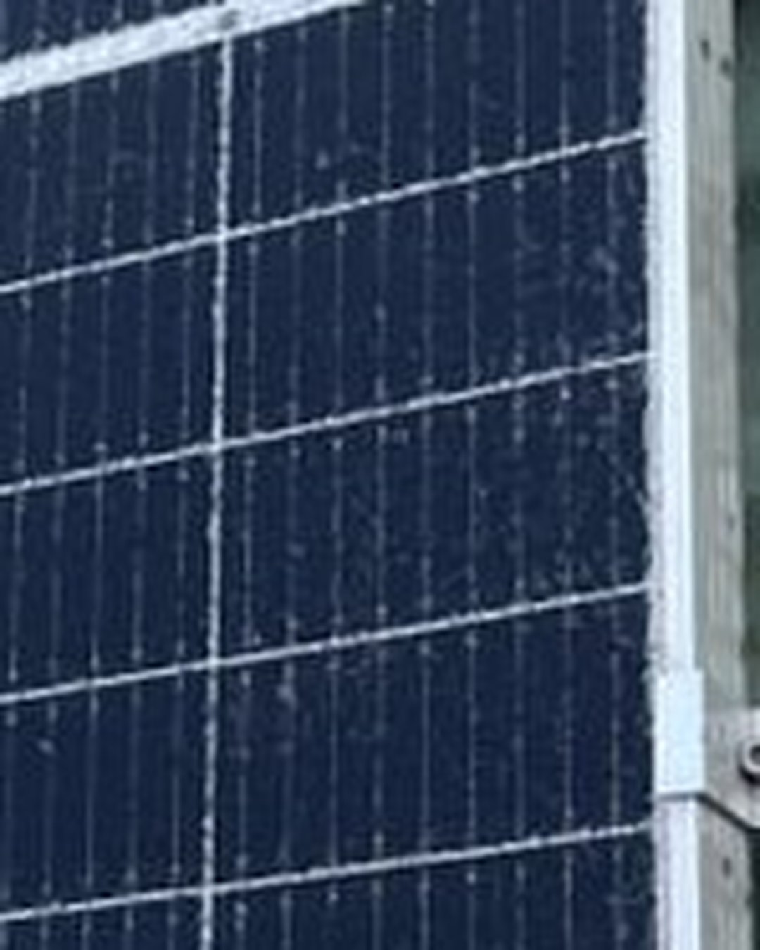 Ảnh NLMT — Bề mặt pin bám màng hữu cơ theo mùa tại Tiền Giang