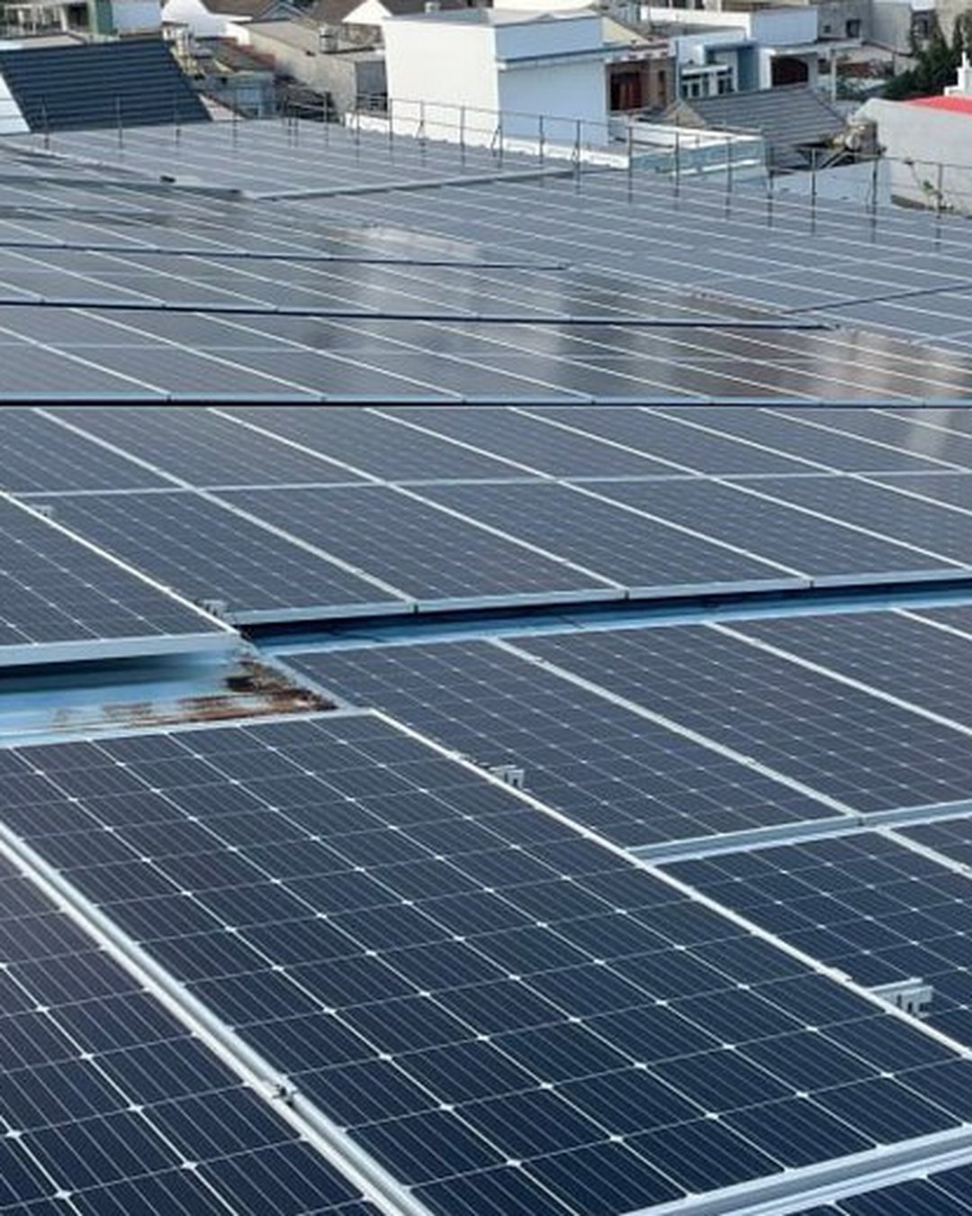 Bề mặt tấm pin sau khi vệ sinh – ảnh thực tế